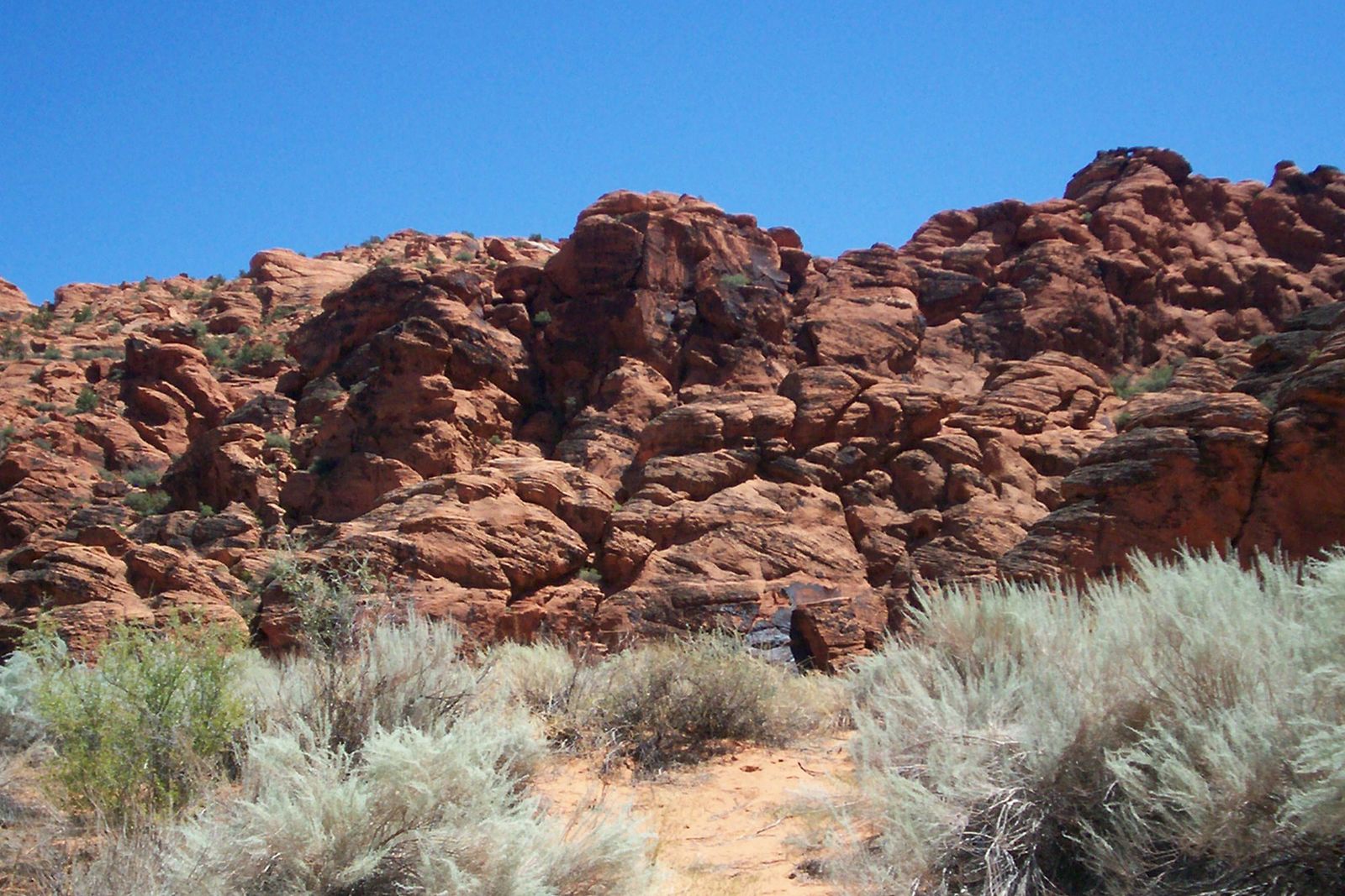 Red rock canyon landscape in Southern Utah