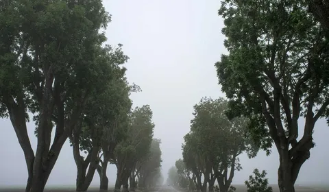 Professional artificial turf cleaning service in progress