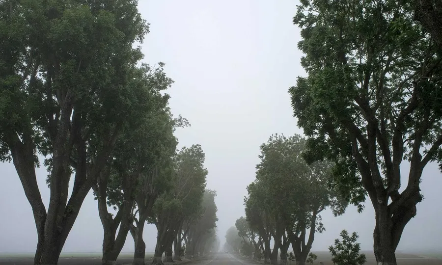 Professional artificial turf cleaning service in progress