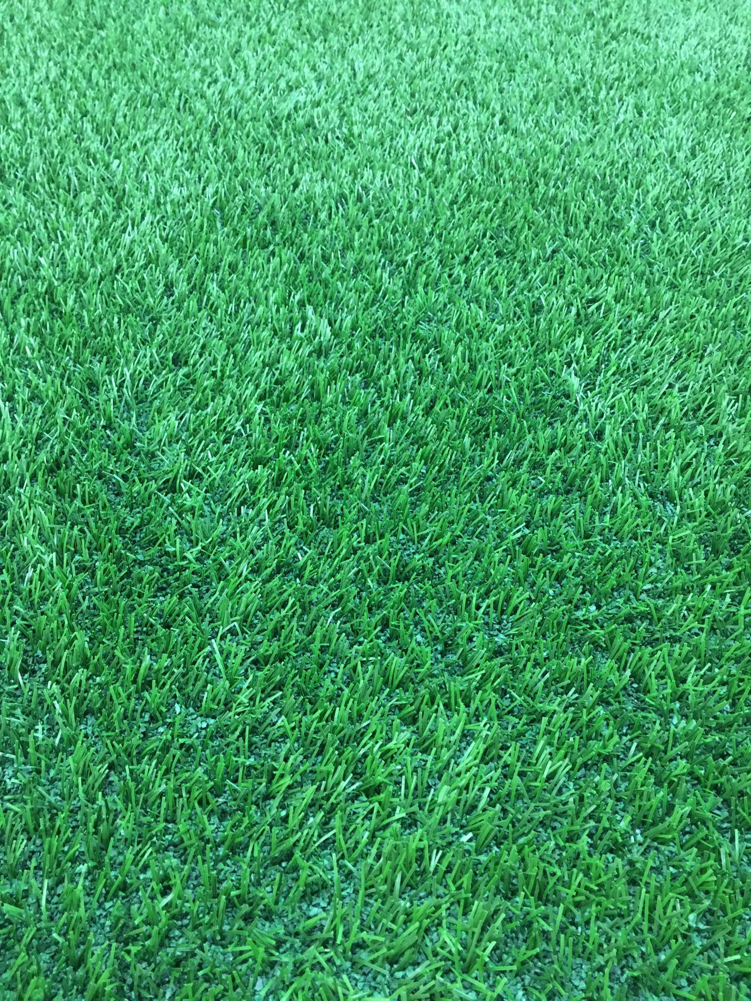 Commercial turf cleaning equipment