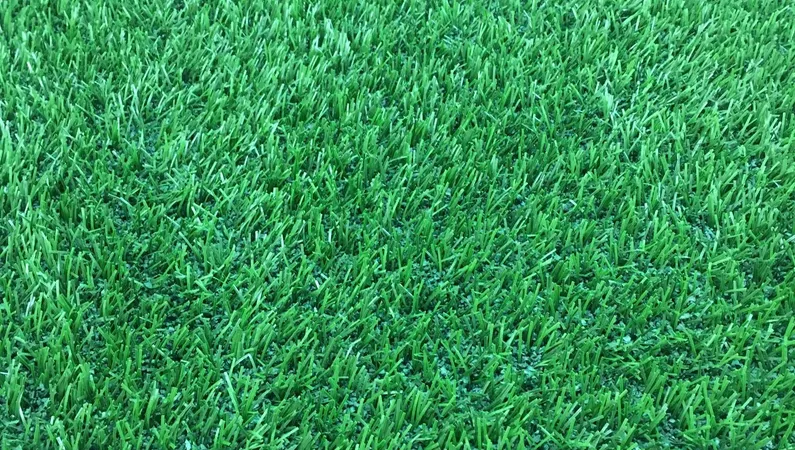 Close-up of artificial turf fibers where pet odor buildup accumulates