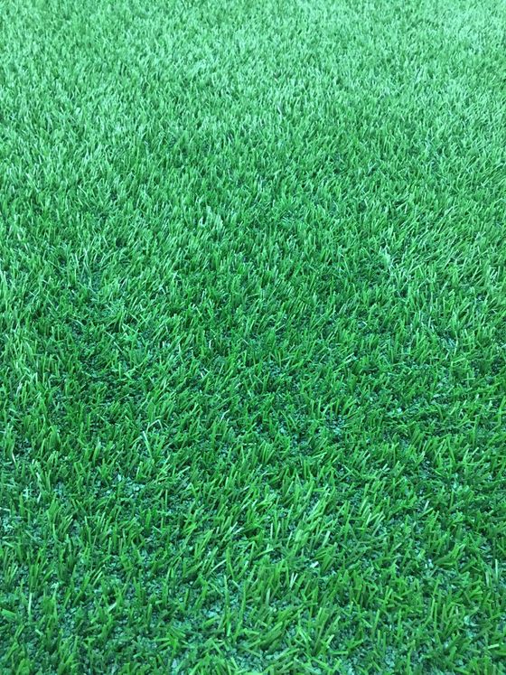 Professional cleaning in progress on artificial turf